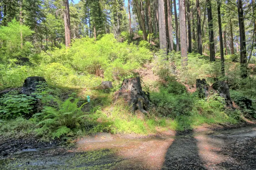154 Leafwood Drive, Boulder Creek, CA 95006 - #2