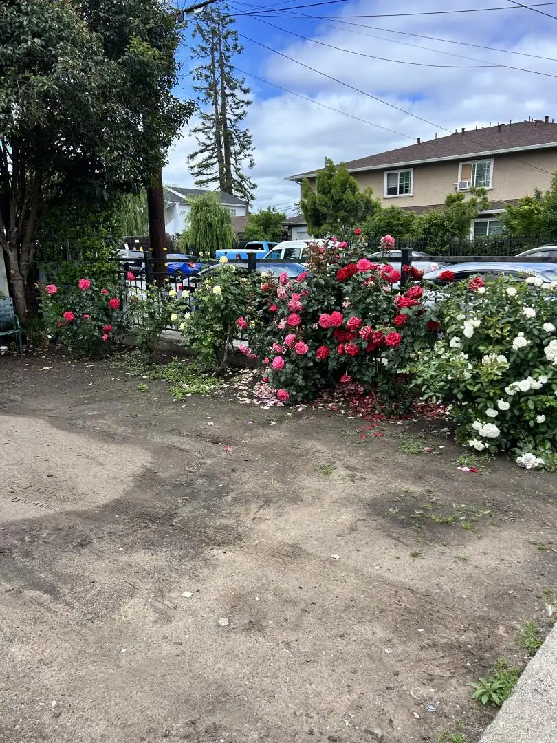 322 1st Avenue, Redwood City, CA 94063 - #2