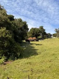0-1 Little Merrill Road, San Juan Bautista, CA 95045 - #2