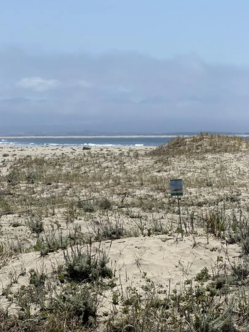 73 Pelican Point, Watsonville, CA 95076 - #2