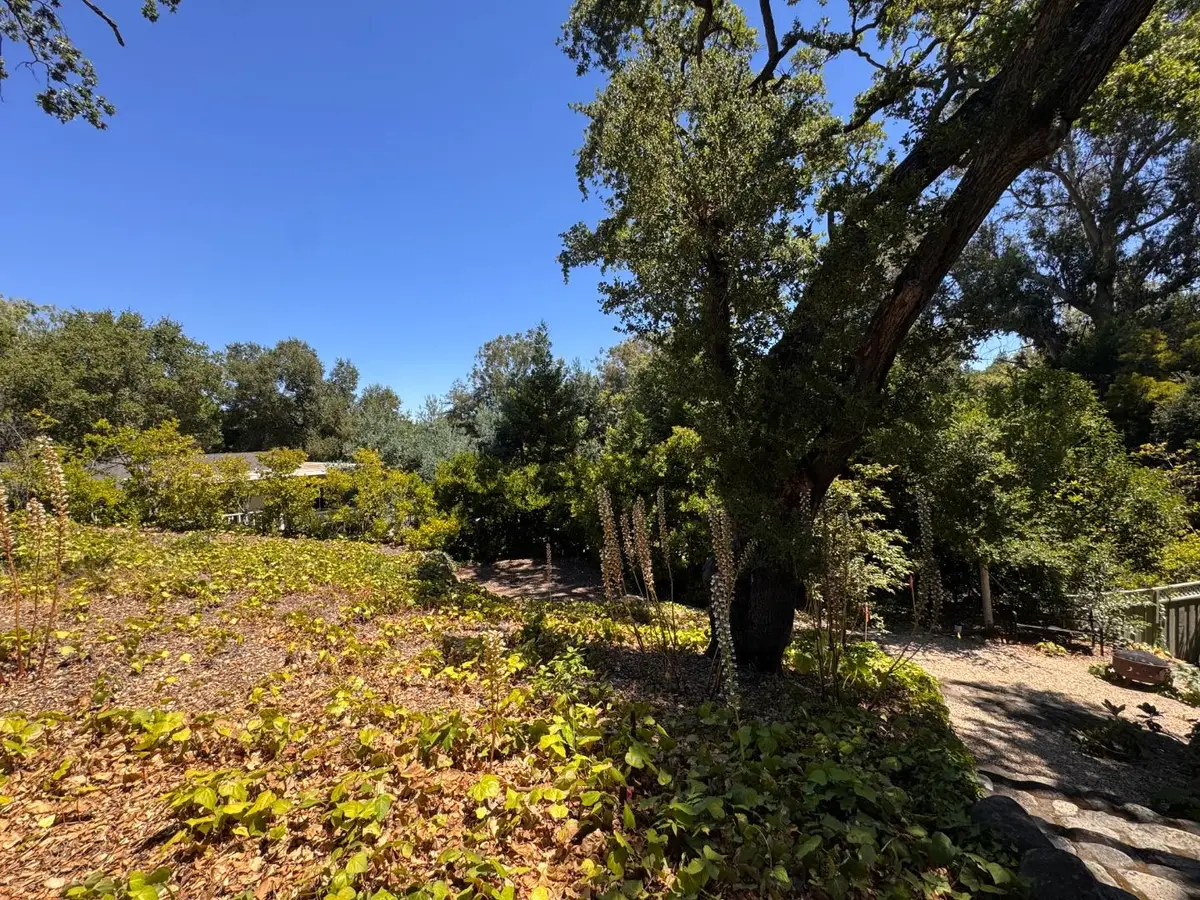 225 Oak Meadow Drive, Los Gatos, CA 95032 - #1