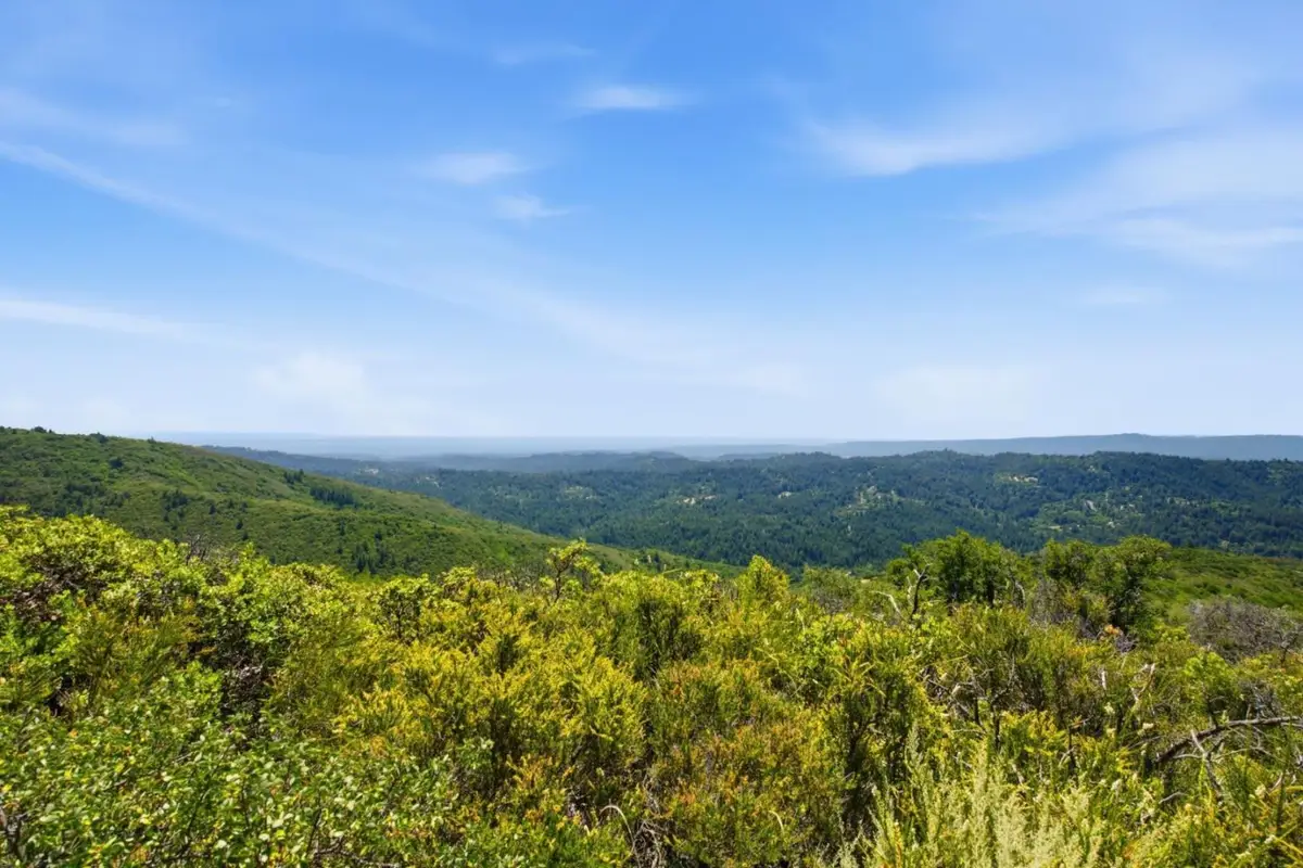 0 Soda Springs Road, Los Gatos, CA 95033 - #1