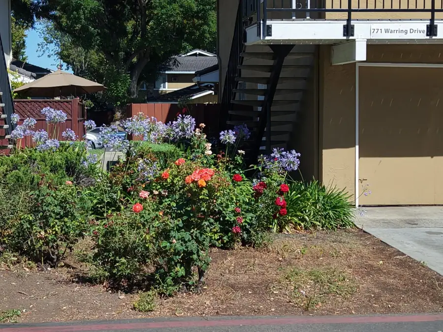771 Warring Drive #2, San Jose, CA 95123 - #2