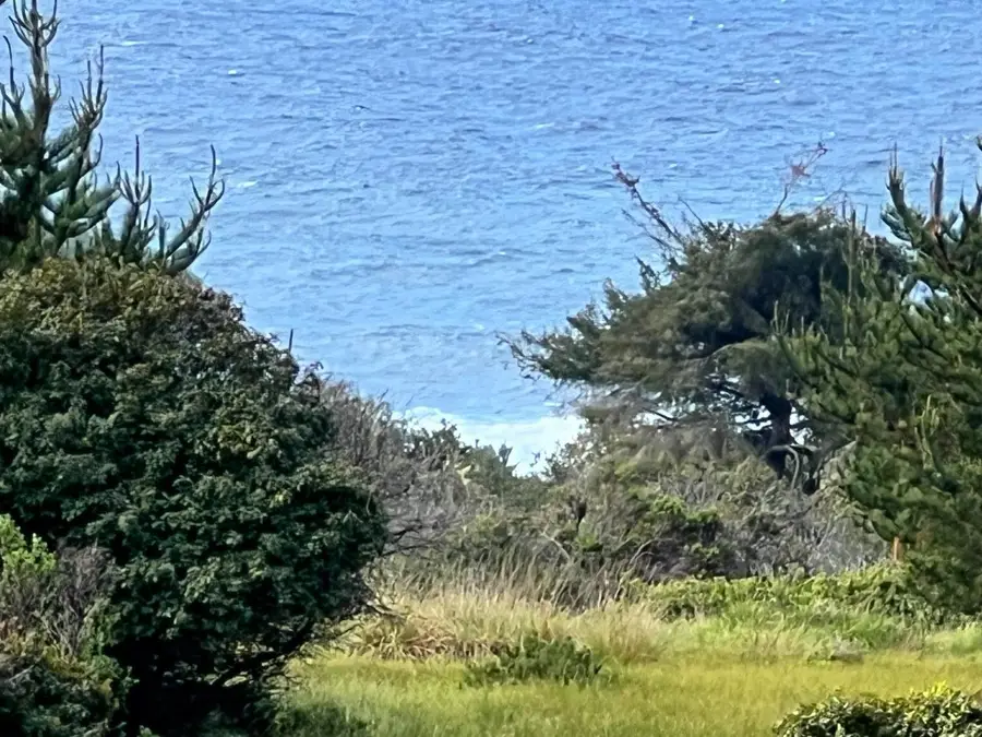 375 Spur Close, Sea Ranch, CA 95497 - #3