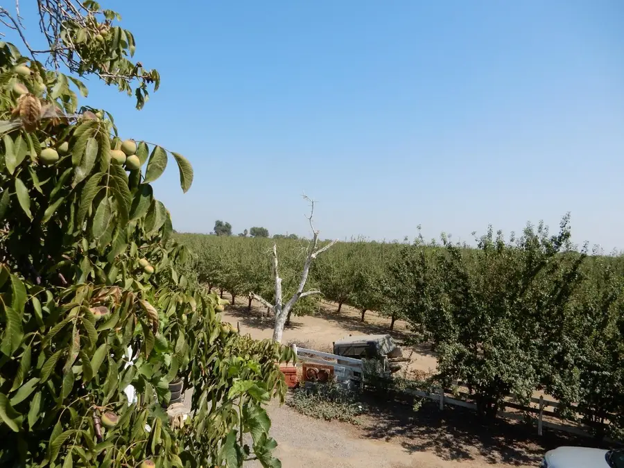 7861 Whitworth Road, Gustine, CA 95322 - #2
