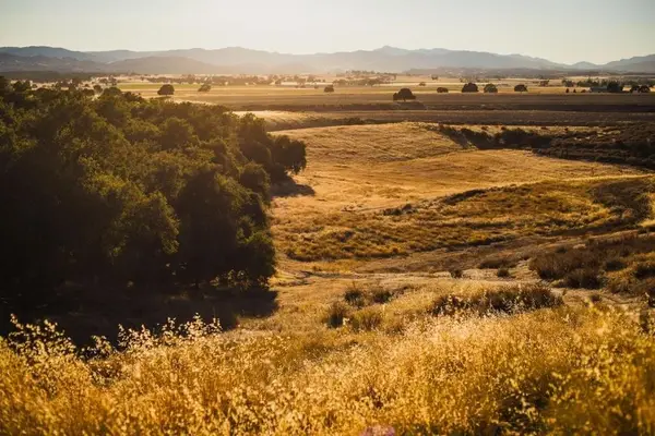 68365 Jolon Road, Bradley, CA 93426