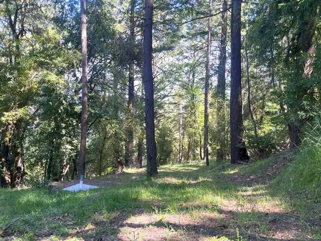 19179 Skyline Boulevard, Los Gatos, CA 95033 - #1