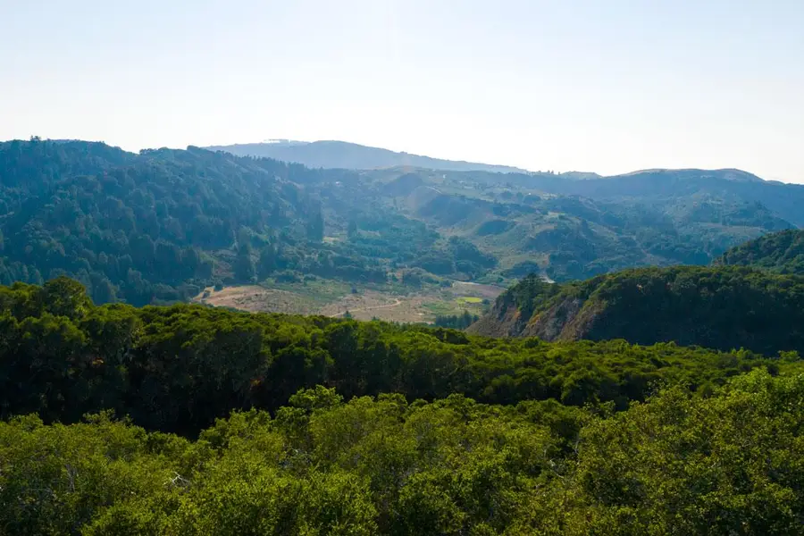 2 Corral Run, Carmel, CA 93923 - #3