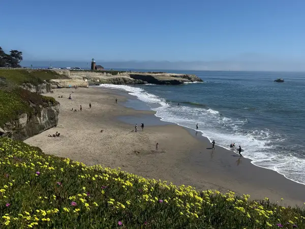 257 High Street, Santa Cruz, CA 95060