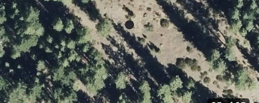 976 Moon Shadow, Portola, CA 96122 - #3