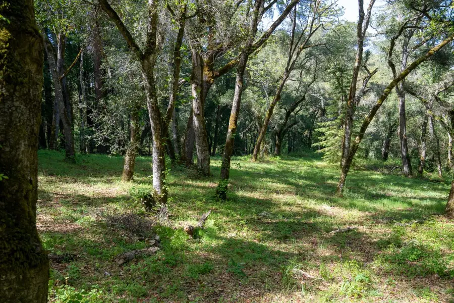 35000 Robinson Canyon Road, Carmel, CA 93923 - #2
