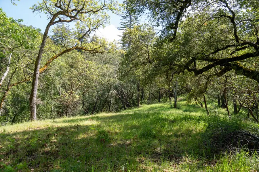 35000 Robinson Canyon Road, Carmel, CA 93923 - #3