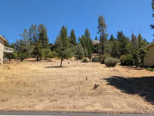 773 Dogwood Drive, Murphys, CA 95247 - #2