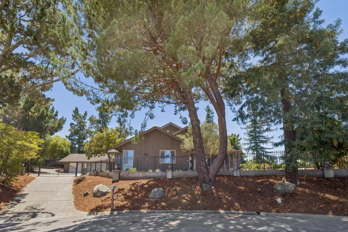 35 Silk Tree Place, Hillsborough, CA 94010 - #1