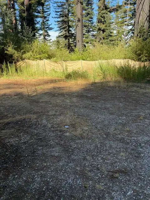 12135 Alba Road, Ben Lomond, CA 95005 - #3