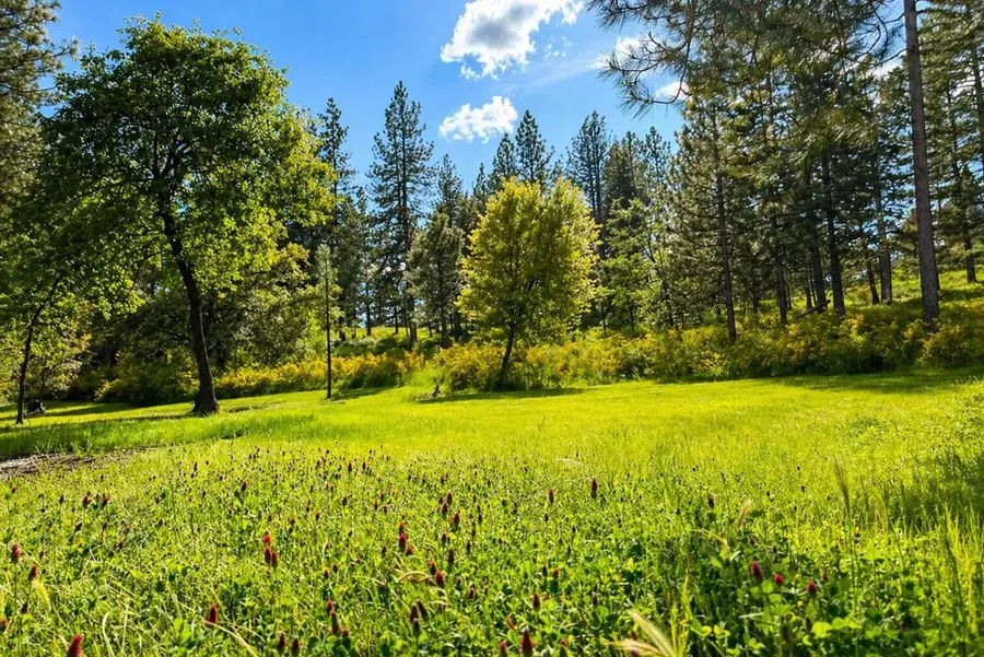 24275 Grand View Avenue, Colfax, CA 95713 - #2