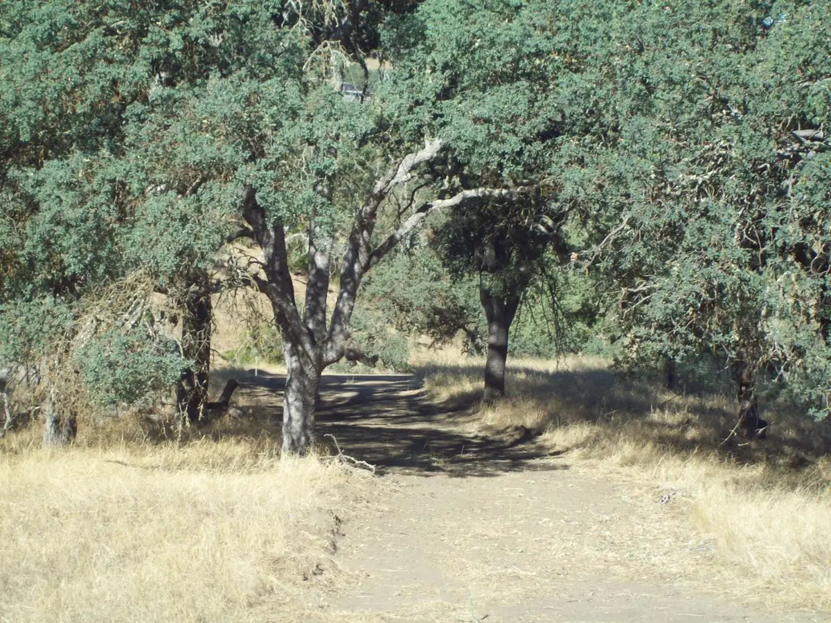20077 Panoche, Tres Pinos, CA 95075 - #1