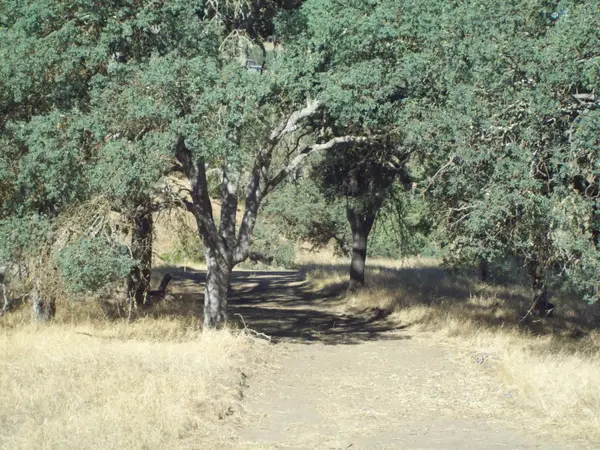 20077 Panoche, Tres Pinos, CA 95075