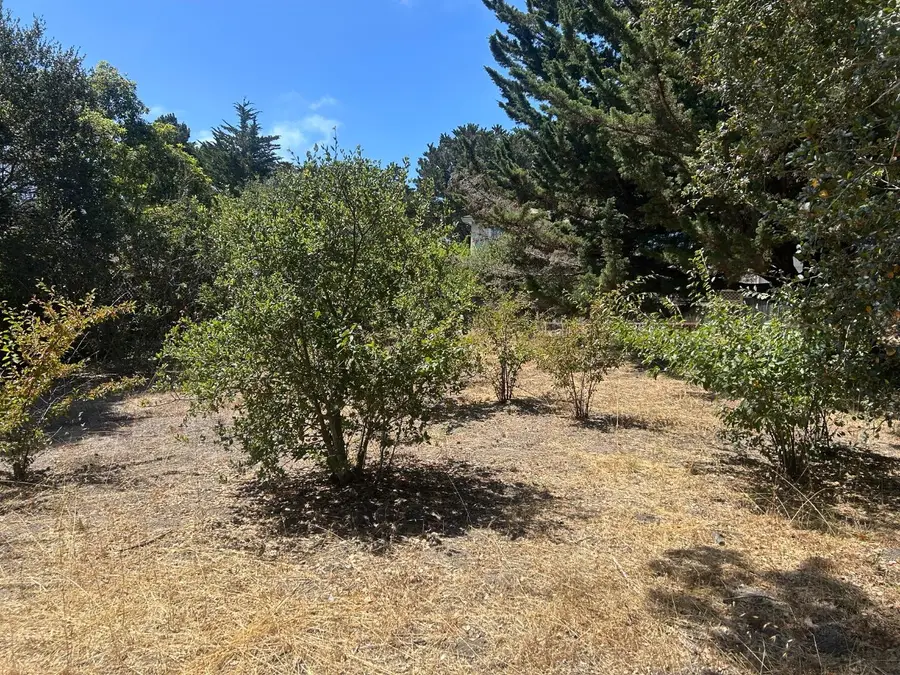 26046 Highway 1, Carmel, CA 93923 - #3