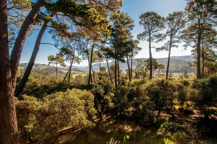 154 Del Mesa Carmel, Carmel, CA 93923 - #3