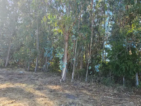 Address Withheld By Seller, Half Moon Bay, CA 94019