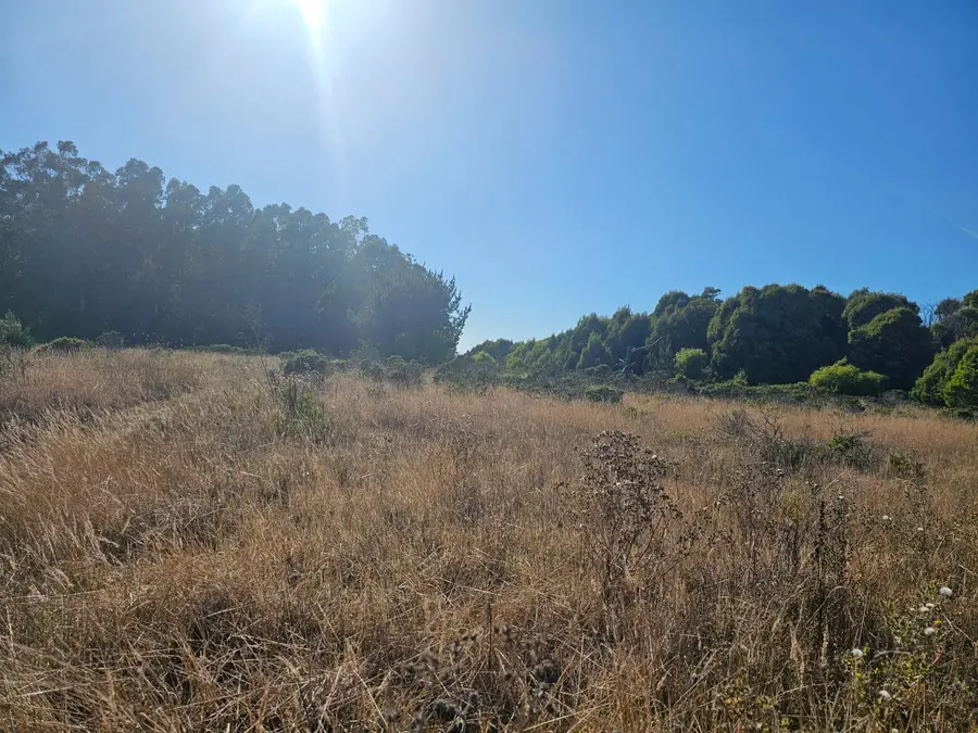 Address Withheld By Seller, Half Moon Bay, CA 94019 - #2