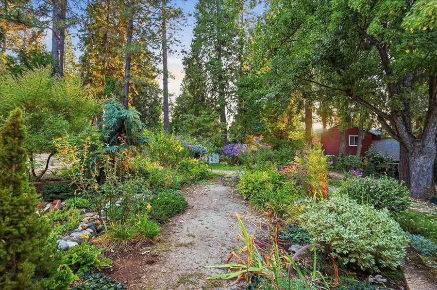 11077 Squirrel Creek Road, Grass Valley, CA 95945 - #3