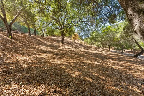 16099 Greenwood Road, Monte Sereno, CA 95030