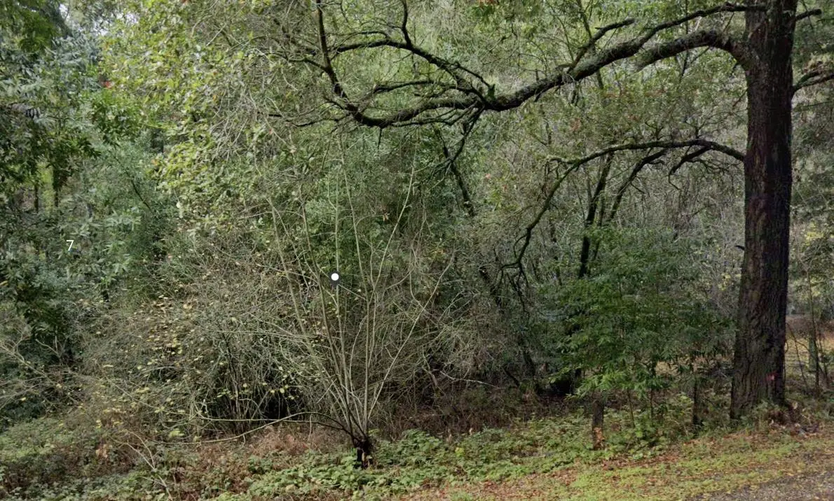 0 Glen Canyon Road, Scotts Valley, CA 95066 - #1