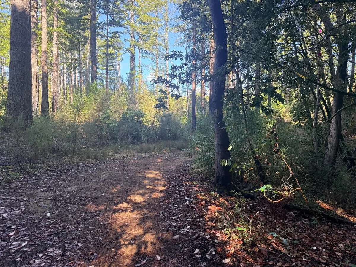0 Warren Drive, Santa Cruz, CA 95060 - #1