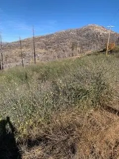 0 Solitude Lane, Shaver Lake, CA 93664 - Image #3