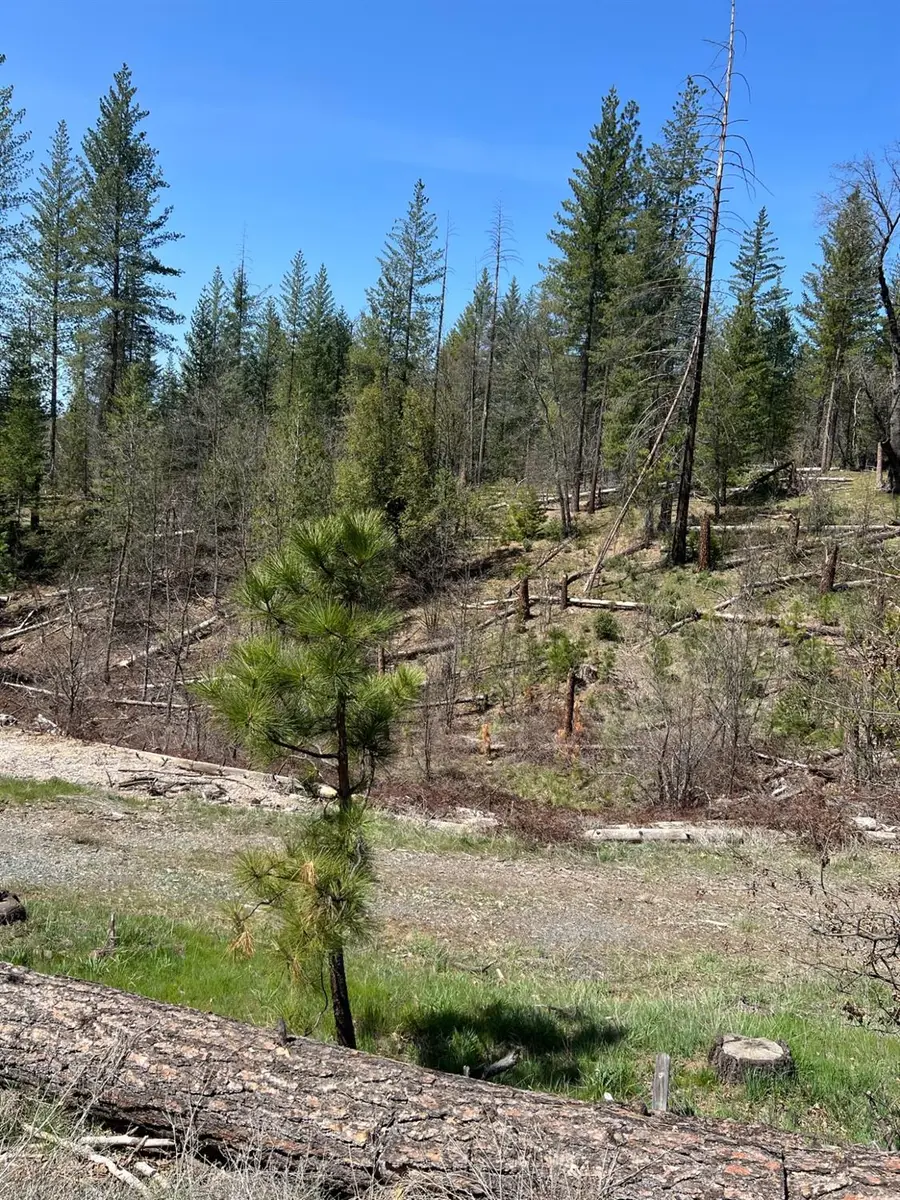 6483 Greeley Hill Road, Coulterville, CA 95311 - #2