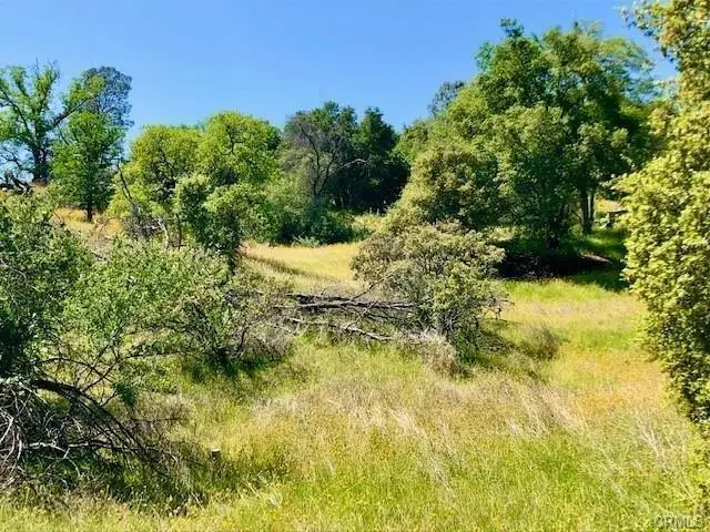 0 N Dome Drive, Coarsegold, CA 93614 - #2