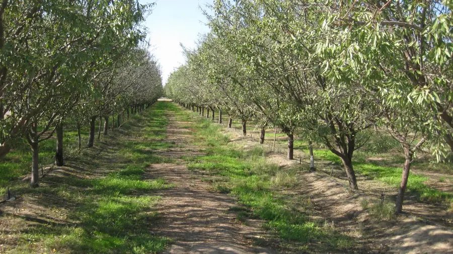 6778 E Nebraska Avenue, Selma, CA 93662 - Image #2