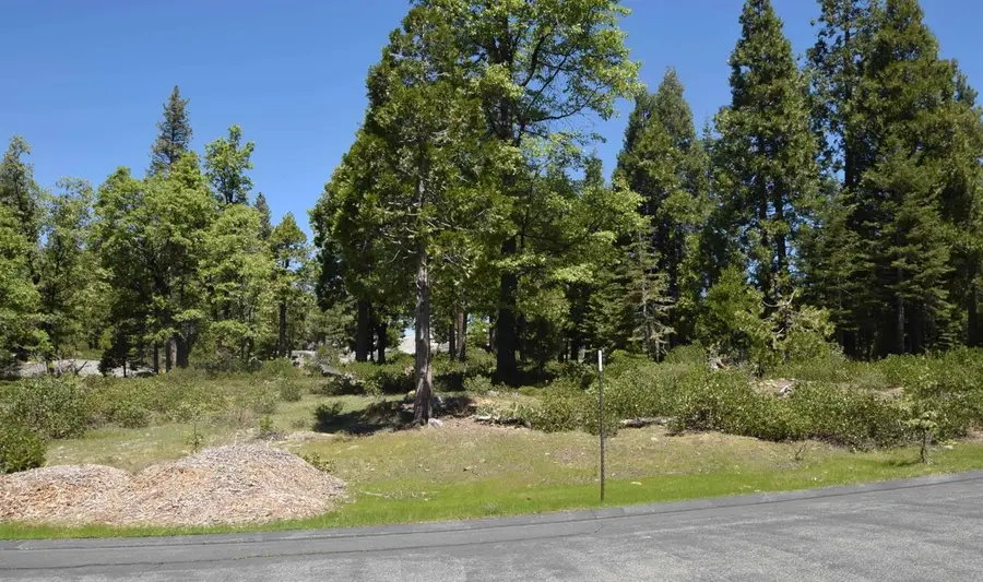 43006 Garnet Lane #lot36, Shaver Lake, CA 93664 - Image #2