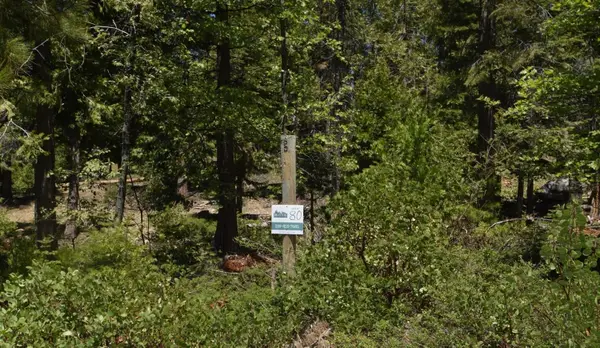 42137 Tourmaline Lane #lot80, Shaver Lake, CA 93664