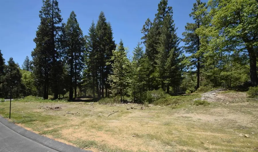 42884 Garnet Lane #Lot37, Shaver Lake, CA 93664 - Image #3