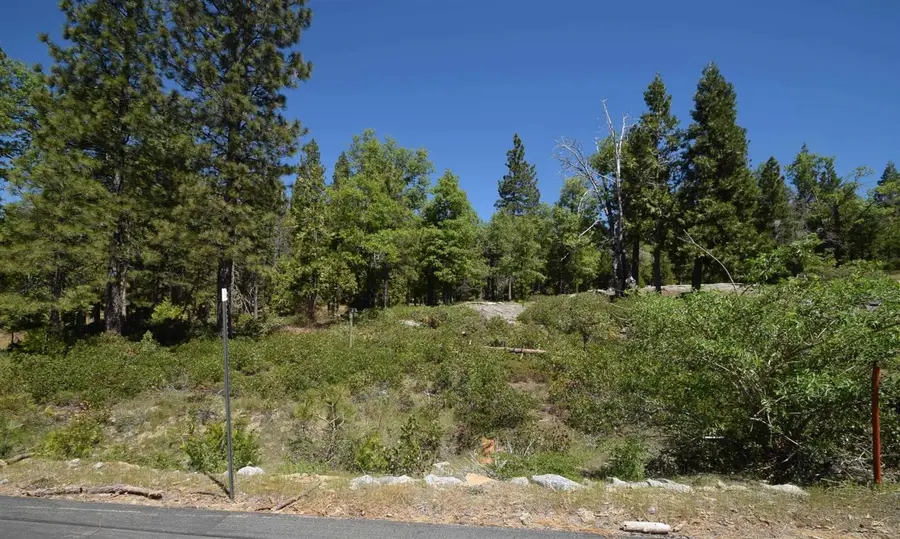 42311 Opal Lane #lot59, Shaver Lake, CA 93664 - Image #3