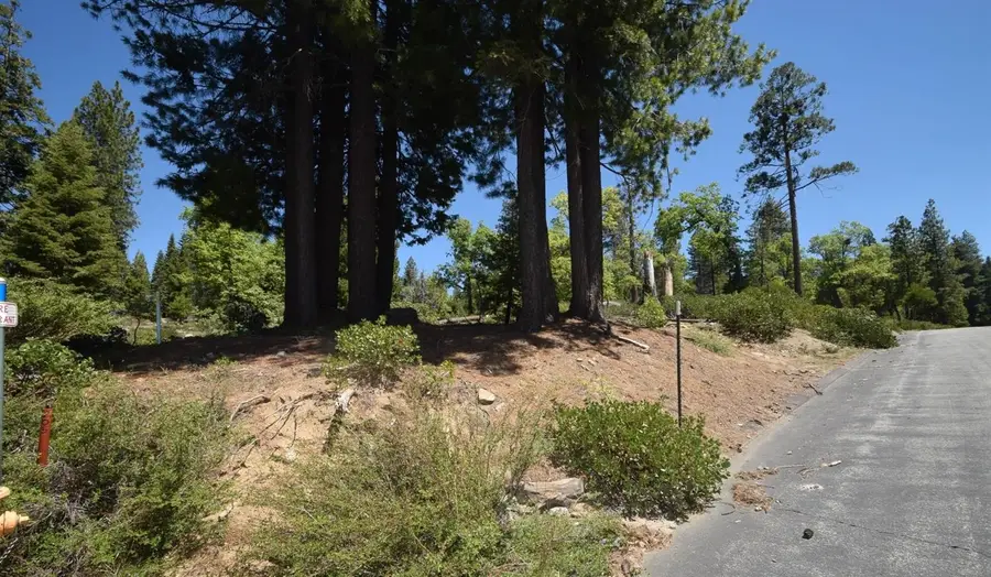 42203 Tournaline Lane #lot81, Shaver Lake, CA 93664 - Image #2