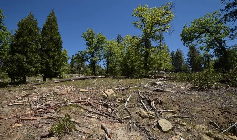 42203 Tournaline Lane #lot81, Shaver Lake, CA 93664 - Image #3