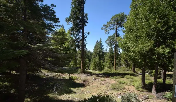 42258 Opal Lane #lot73, Shaver Lake, CA 93664