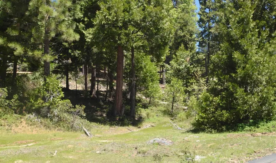 42101 Tourmaline Lane #lot79, Shaver Lake, CA 93664 - Image #3