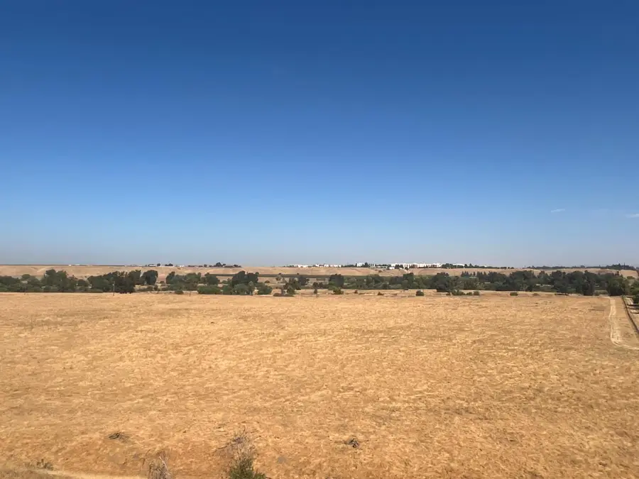 204 W Bluff Avenue, Fresno, CA 93711 - Image #3