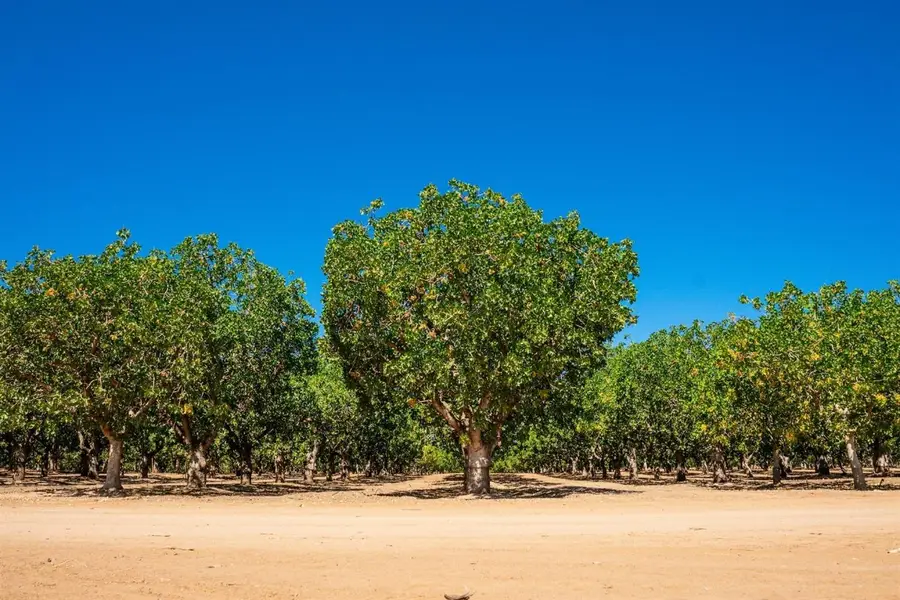 80 Avenue 21 1/2, Madera, CA 93638 - #2