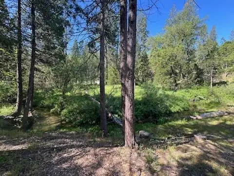 0 Teaford Poyah, North Fork, CA 93643 - Image #2