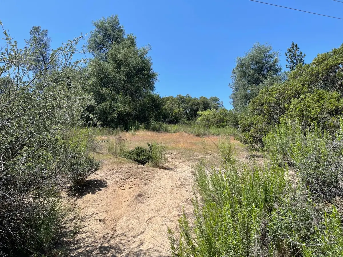 31 Hangtree Court, Oakhurst, CA 93644 - Image #1