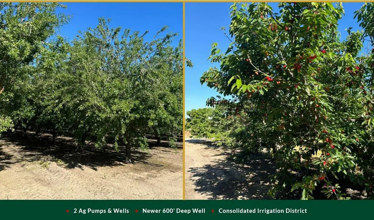 0 Nec Chestnut & Mountain View Avenue, Selma, CA 93662 - Image #1