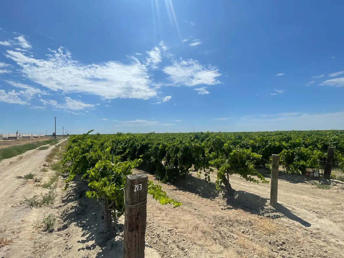 1 S Plumas Avenue, Kerman, CA 93630 - Image #1