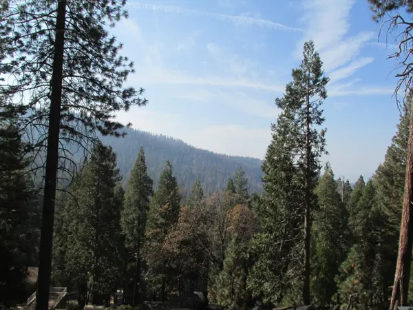 7343 Yosemite Park Way, Yosemite West, CA 95389