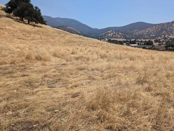 0 Hilltop Dr., Sanger, CA 93657 - Image #1